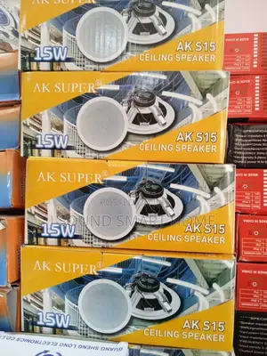 15watts Ceiling Speakers With Bass