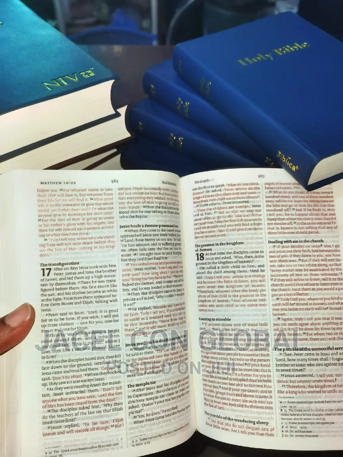 NIV Bible Leather Cover (New International Version Bible)