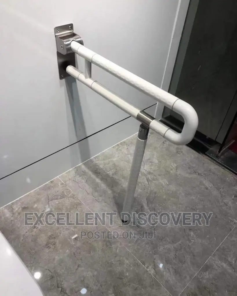 Handicap Toilet Seat