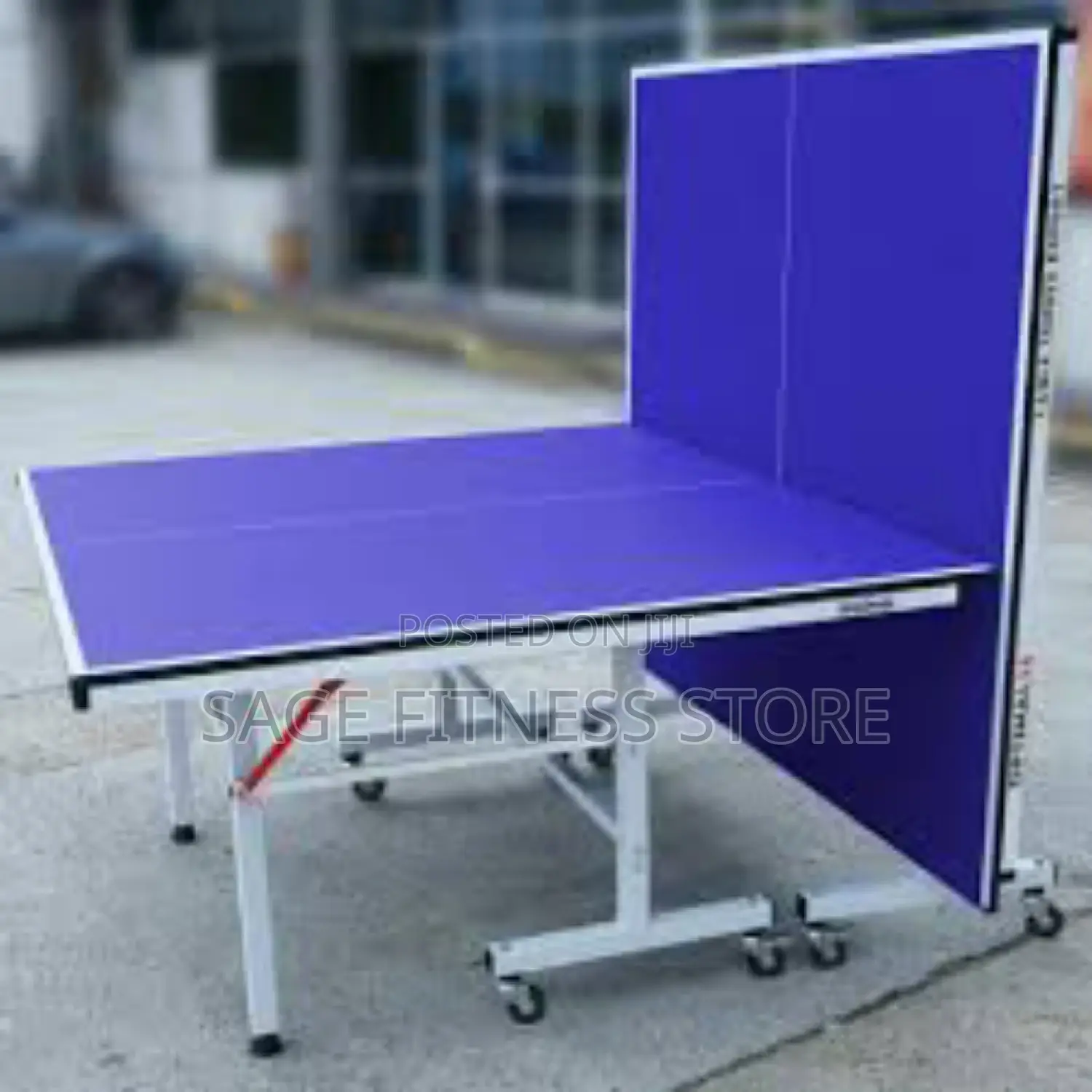 Foldable Indoor Tennis Table