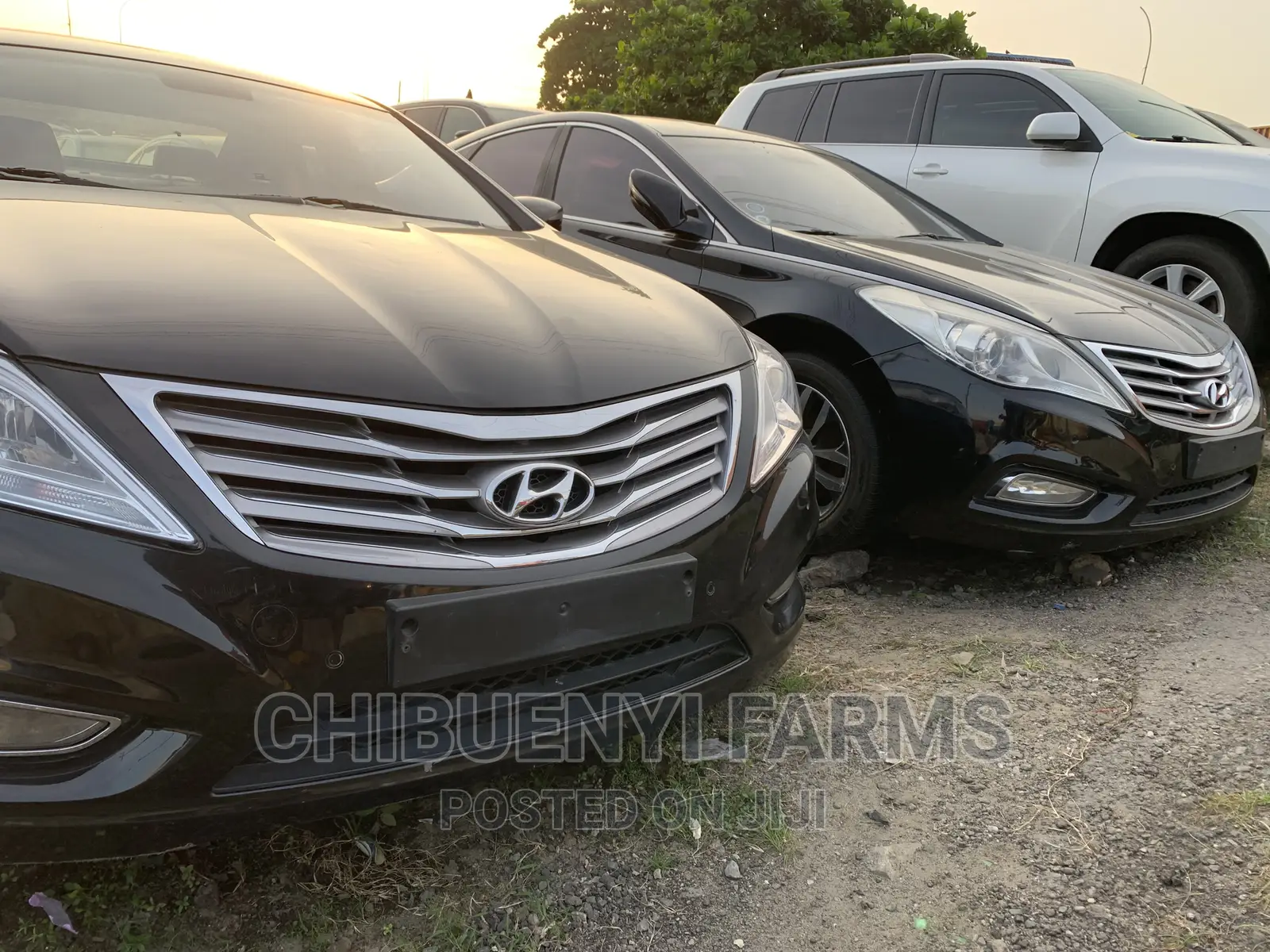 Hyundai Grandeur 2.2 CRDi 2010 Matt Black