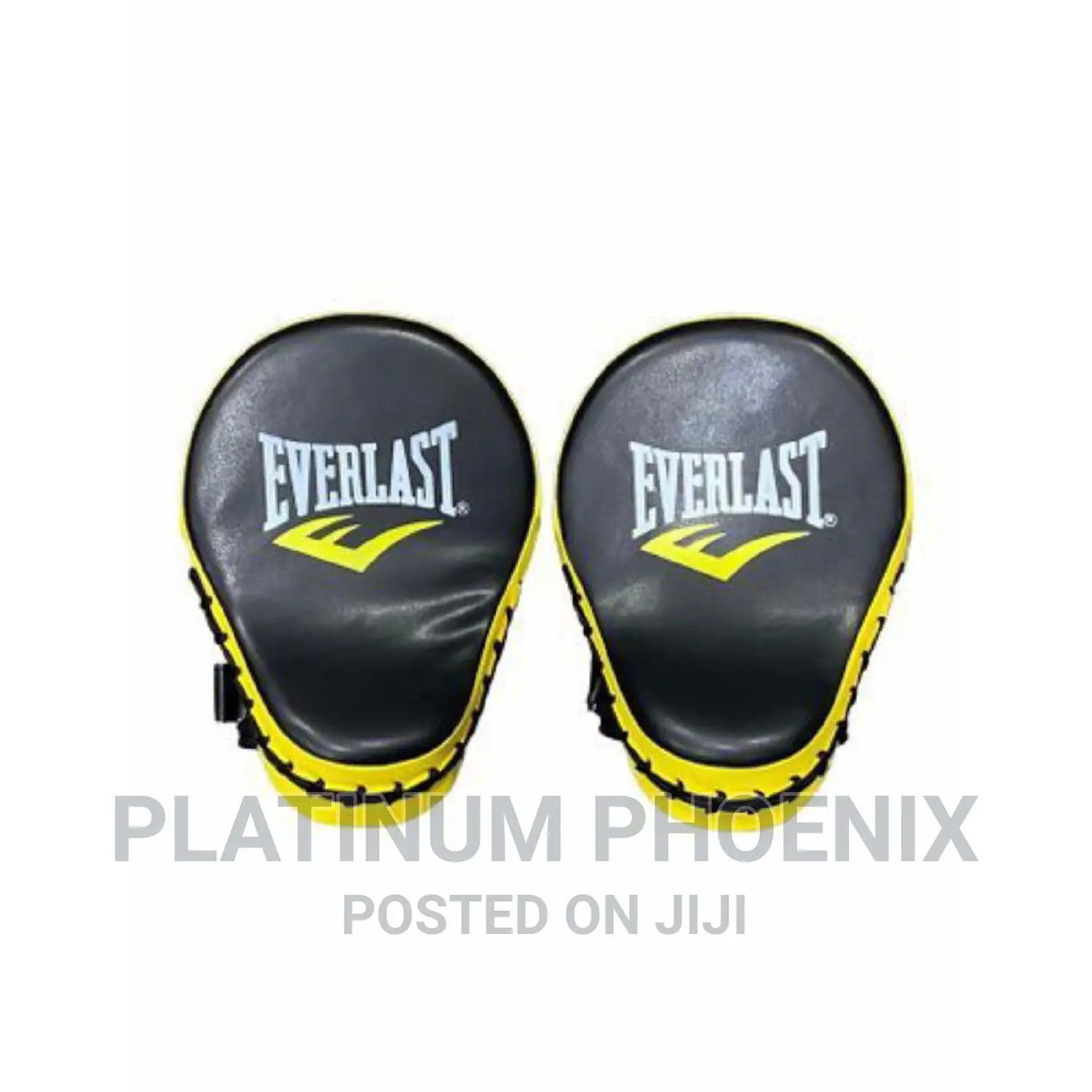 Everlast Boxing Mitts