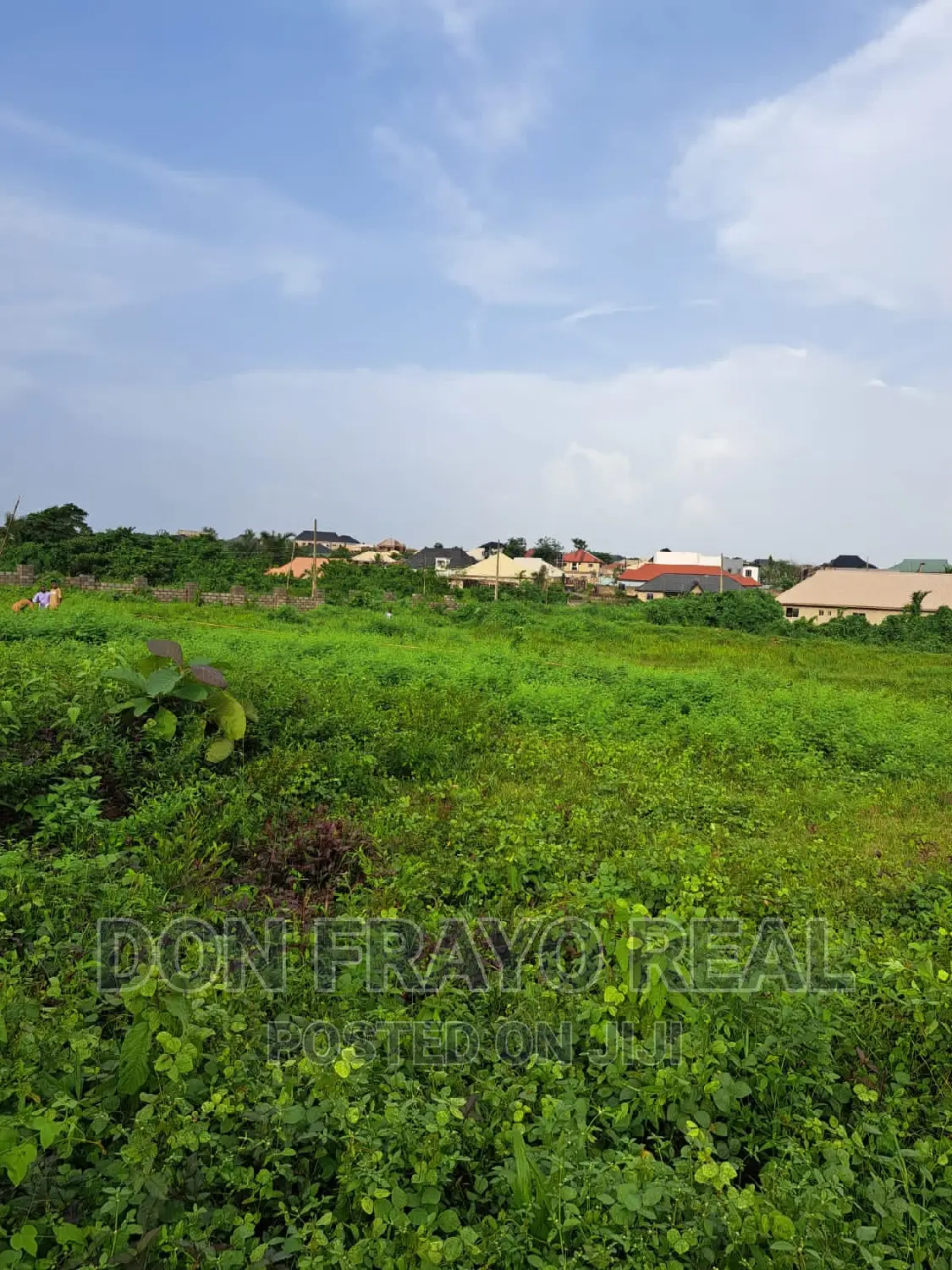 Lands Selling in Alafara Area Near Nihort Idishin