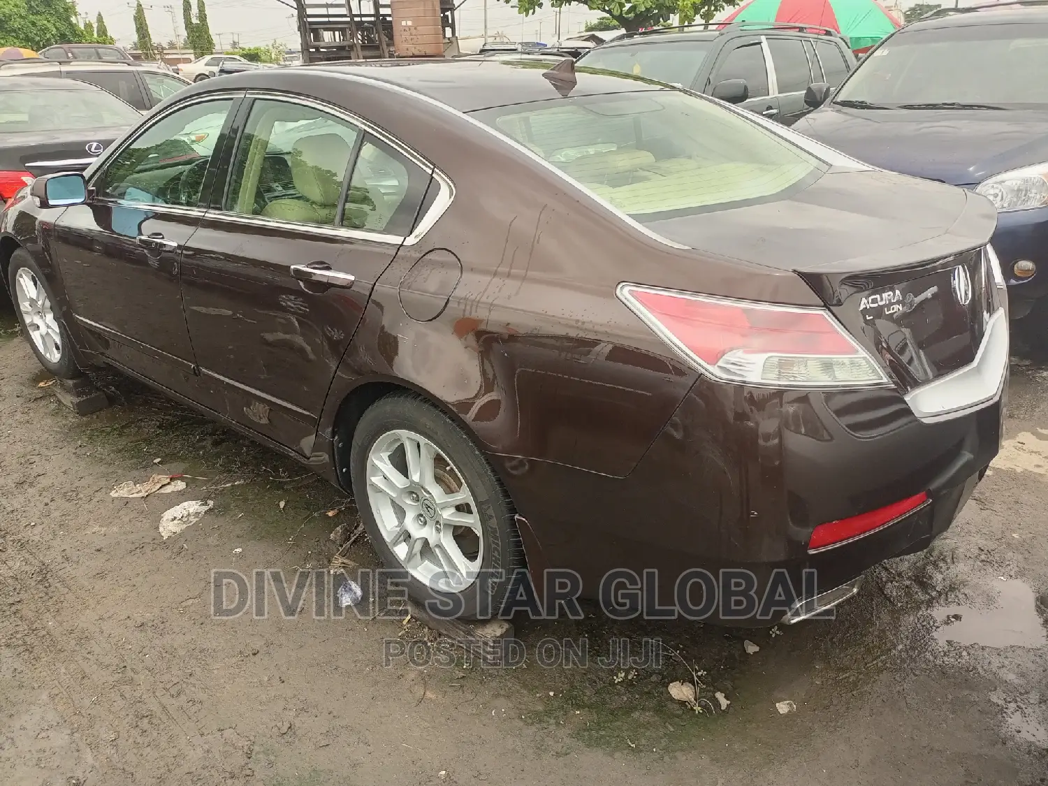 Acura TL SH-AWD 2010 Brown