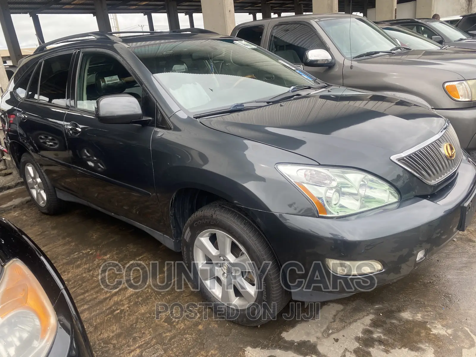 Lexus RX 330 2004 Gray