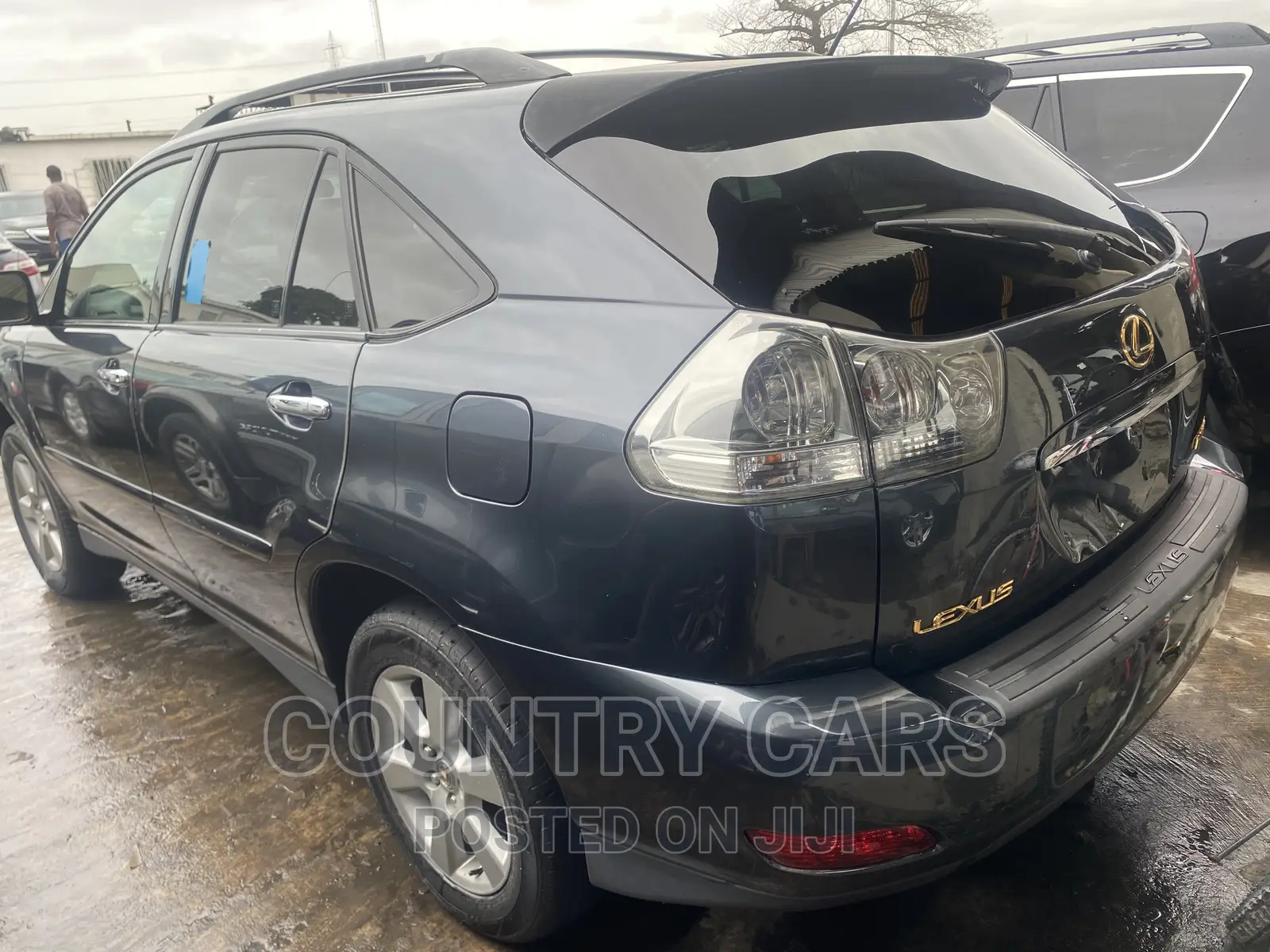 Lexus RX 330 2004 Gray