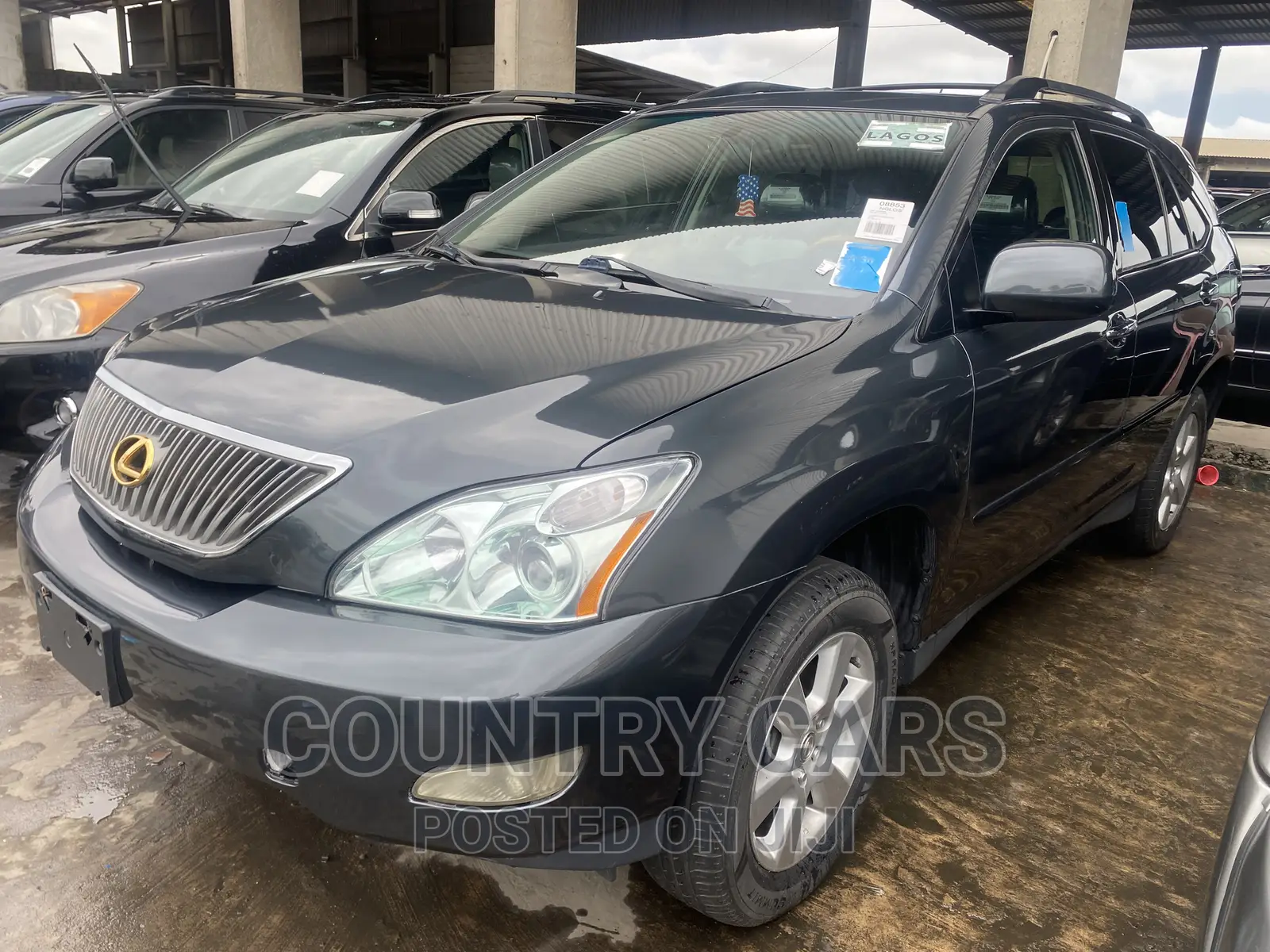 Lexus RX 330 2004 Gray
