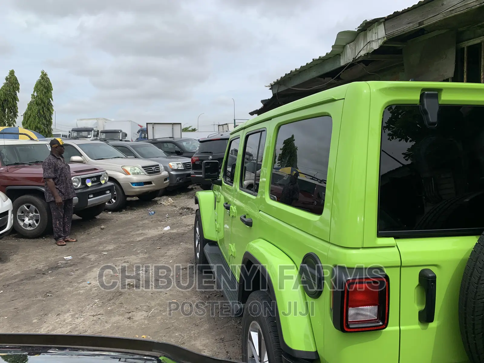 Jeep Wrangler Willys Sport 2022 Green
