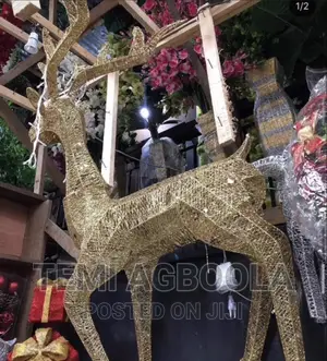 Reindeer for Christmas
