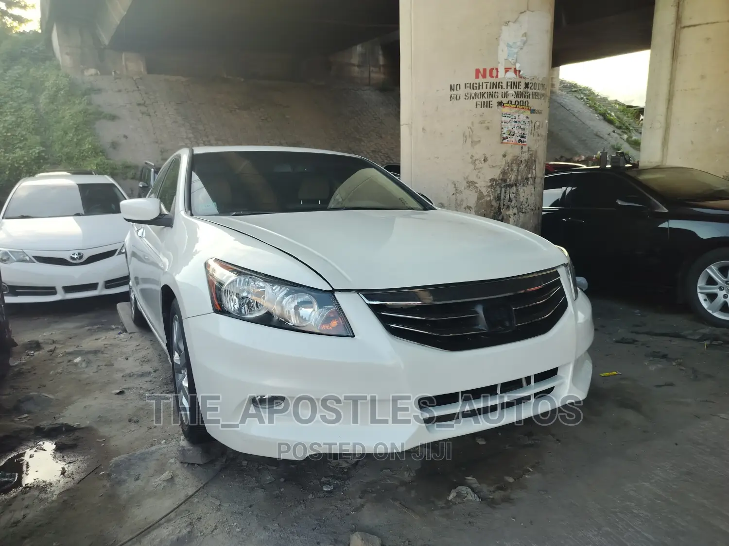 Honda Accord Sedan EX V-6 2010 Off white