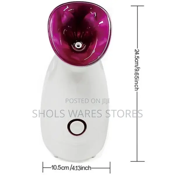 Nano Face Steamer