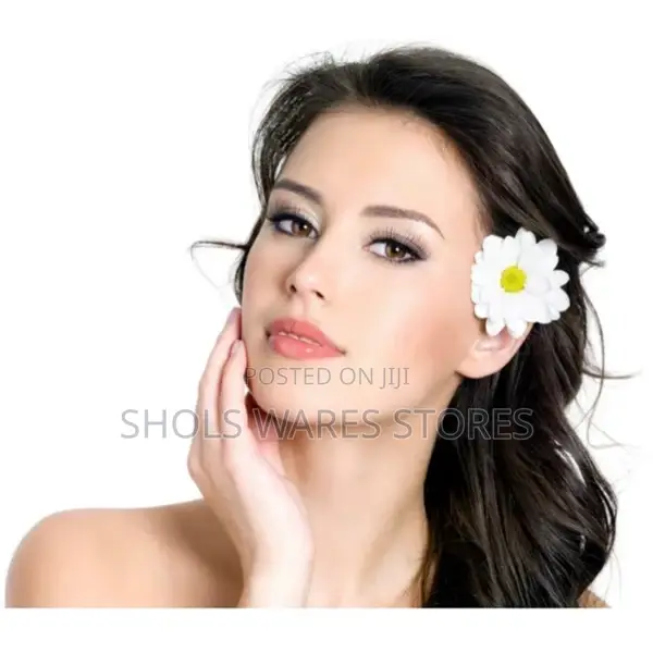 Nano Face Steamer