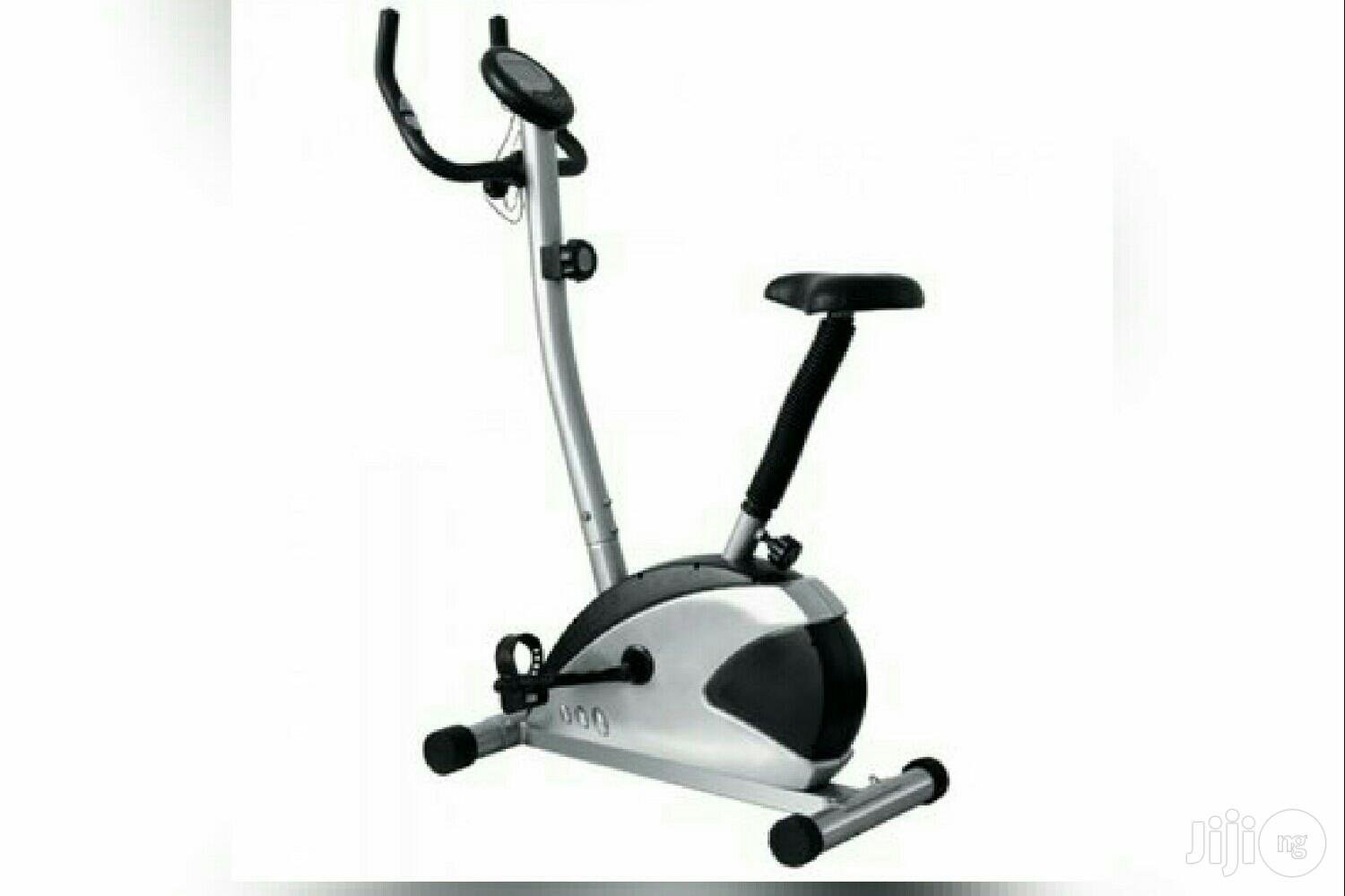 America Fitness Magnetic Bike