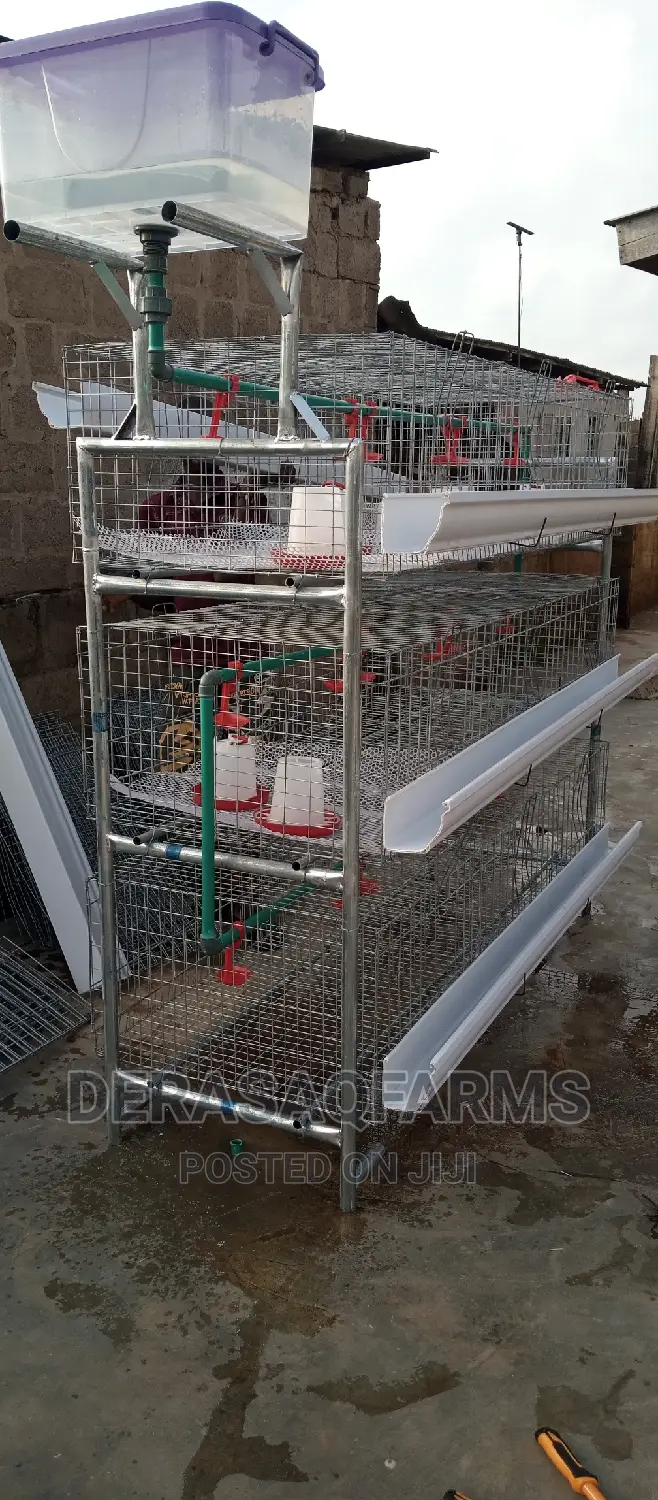 Brooding Cage for Broiler and Layers