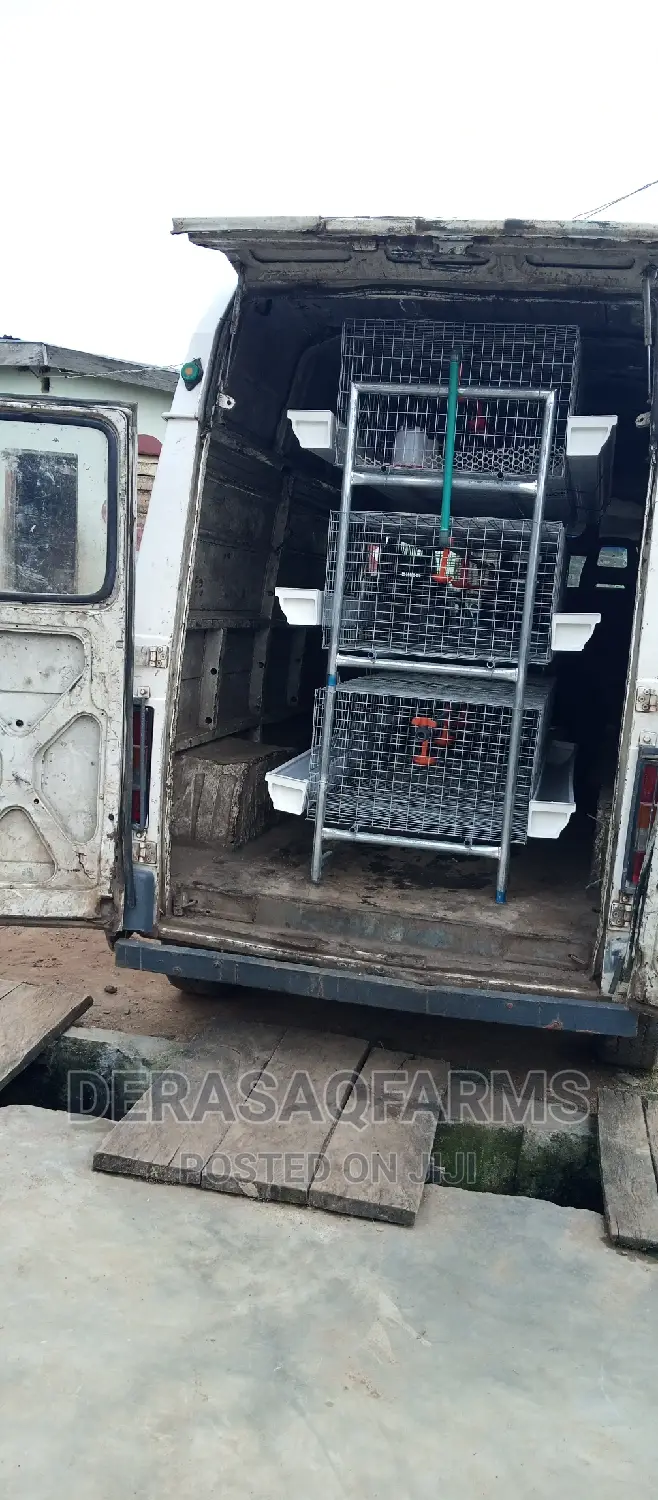 Brooding Cage for Broiler and Layers
