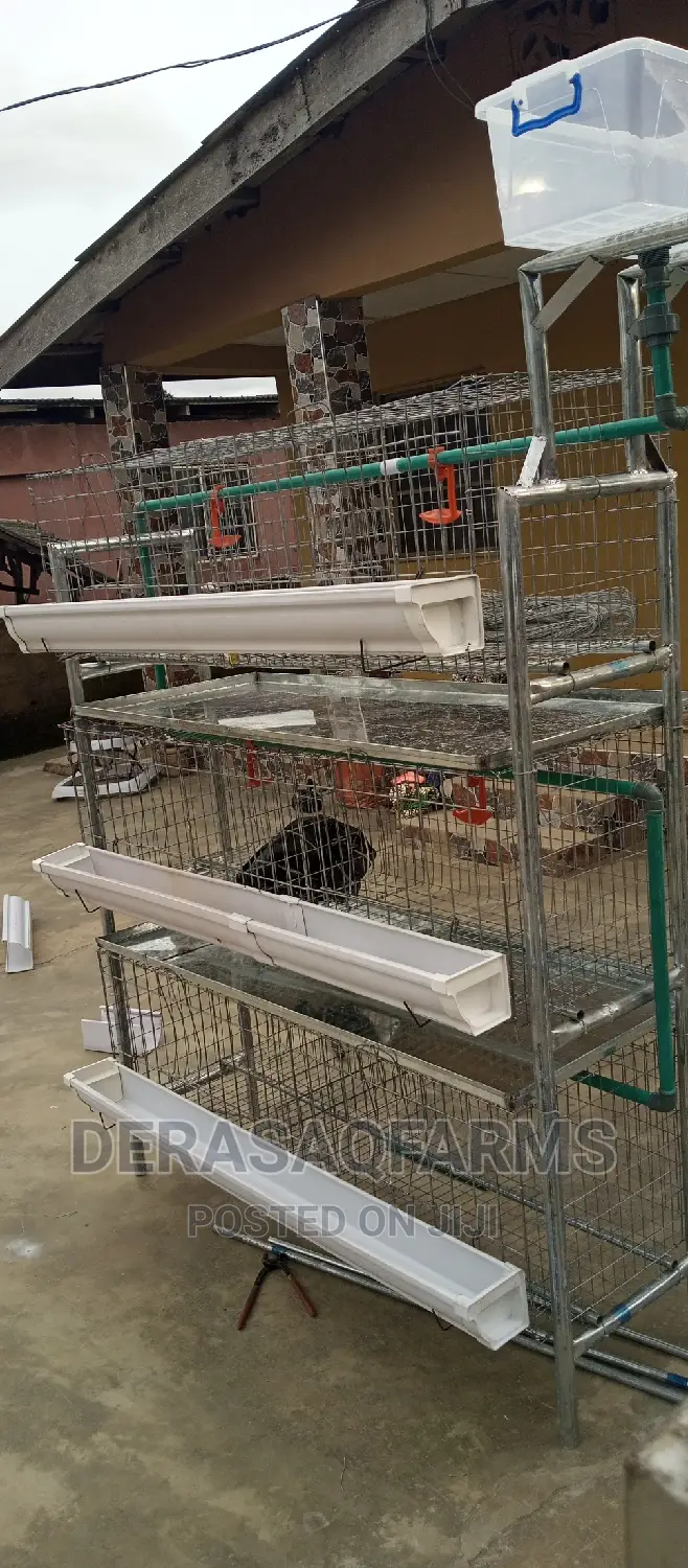 Broiler Cage With Quality Materials