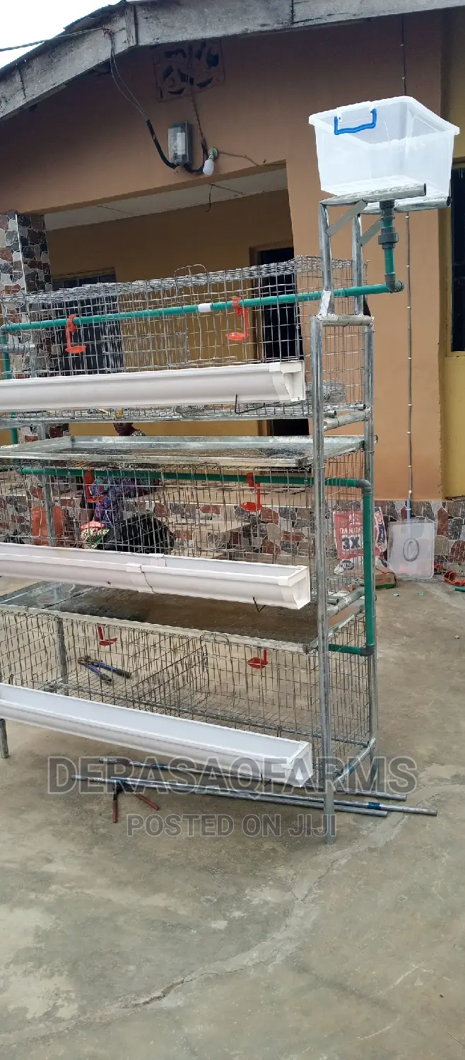 Broiler Cage With Quality Materials