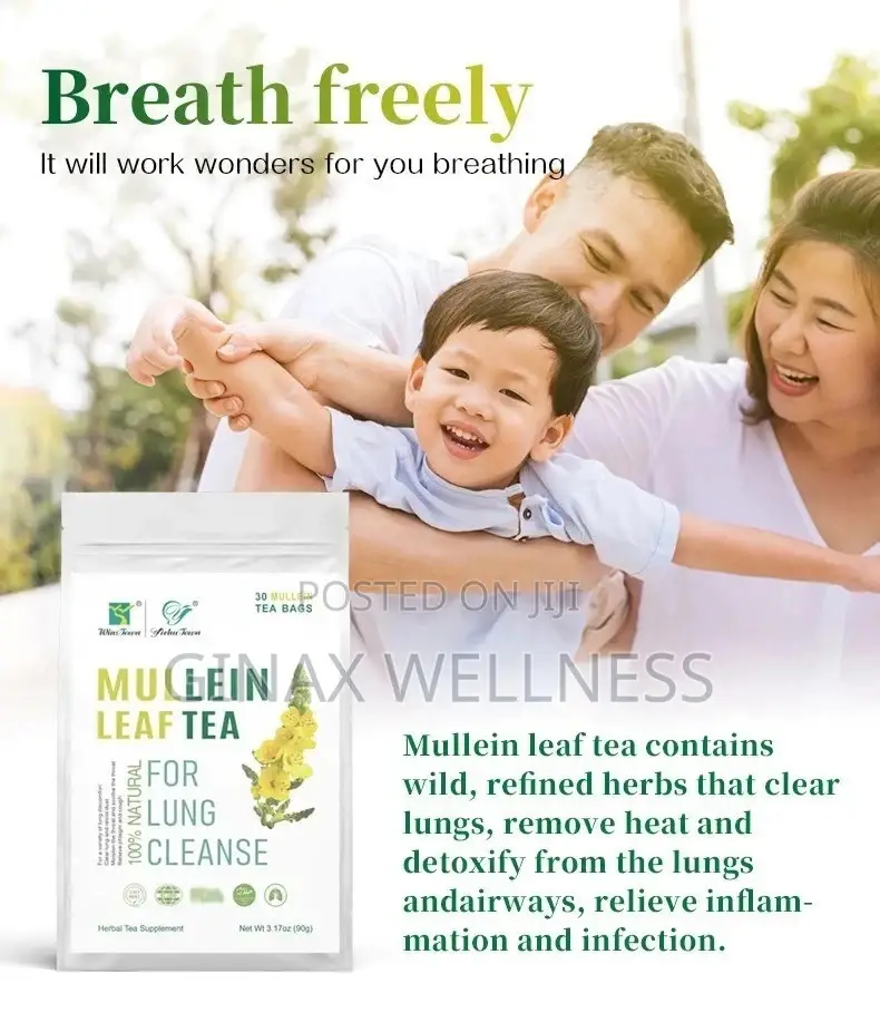 Mullein Leaf Tea for Coughs, Asthma, and Lungs Cleanse