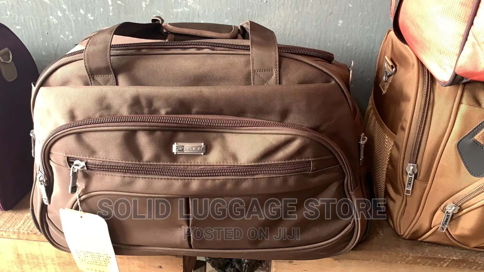 Louis Vuitton Traveling Bag