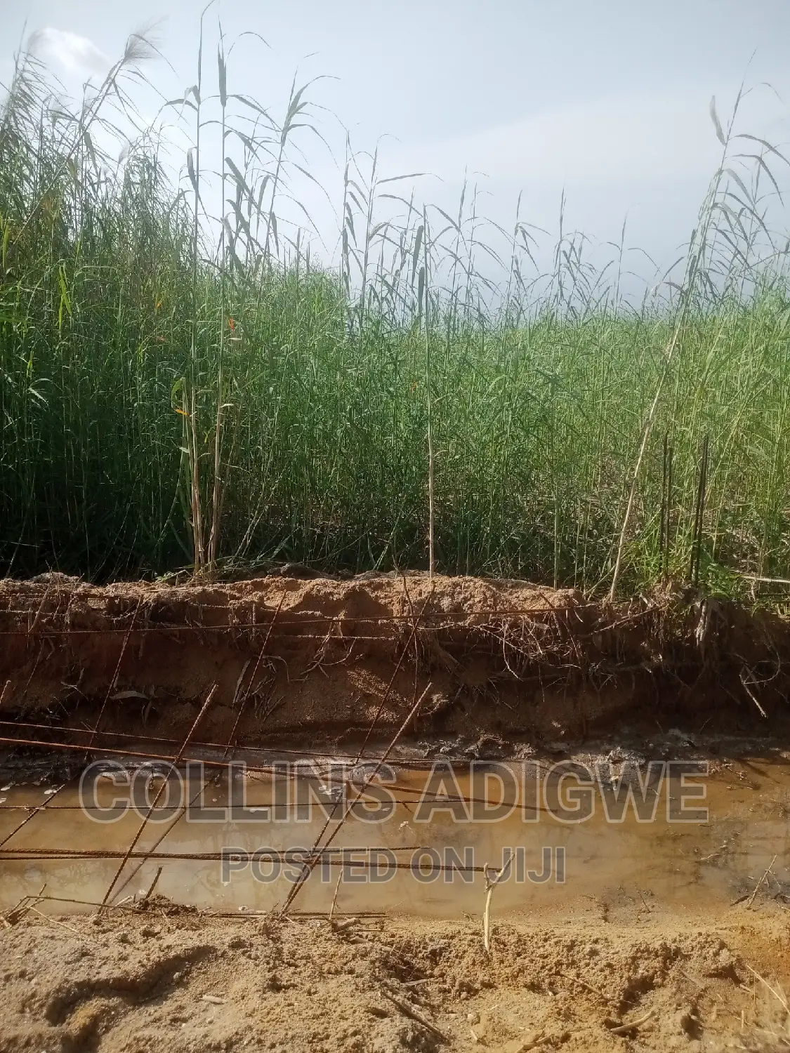 994 SQM Land at Lekk Palm City _Ajah