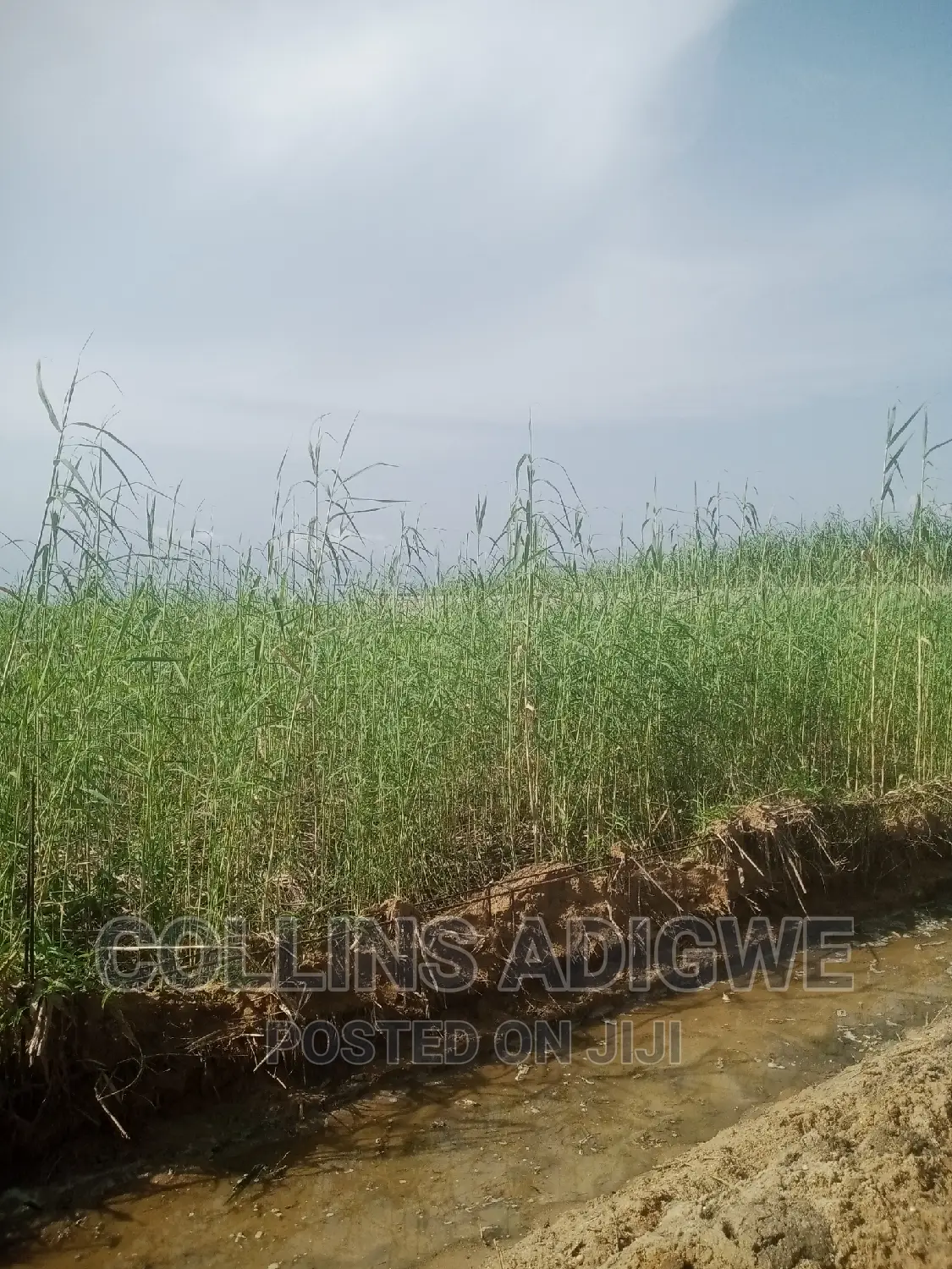 994 SQM Land at Lekk Palm City _Ajah