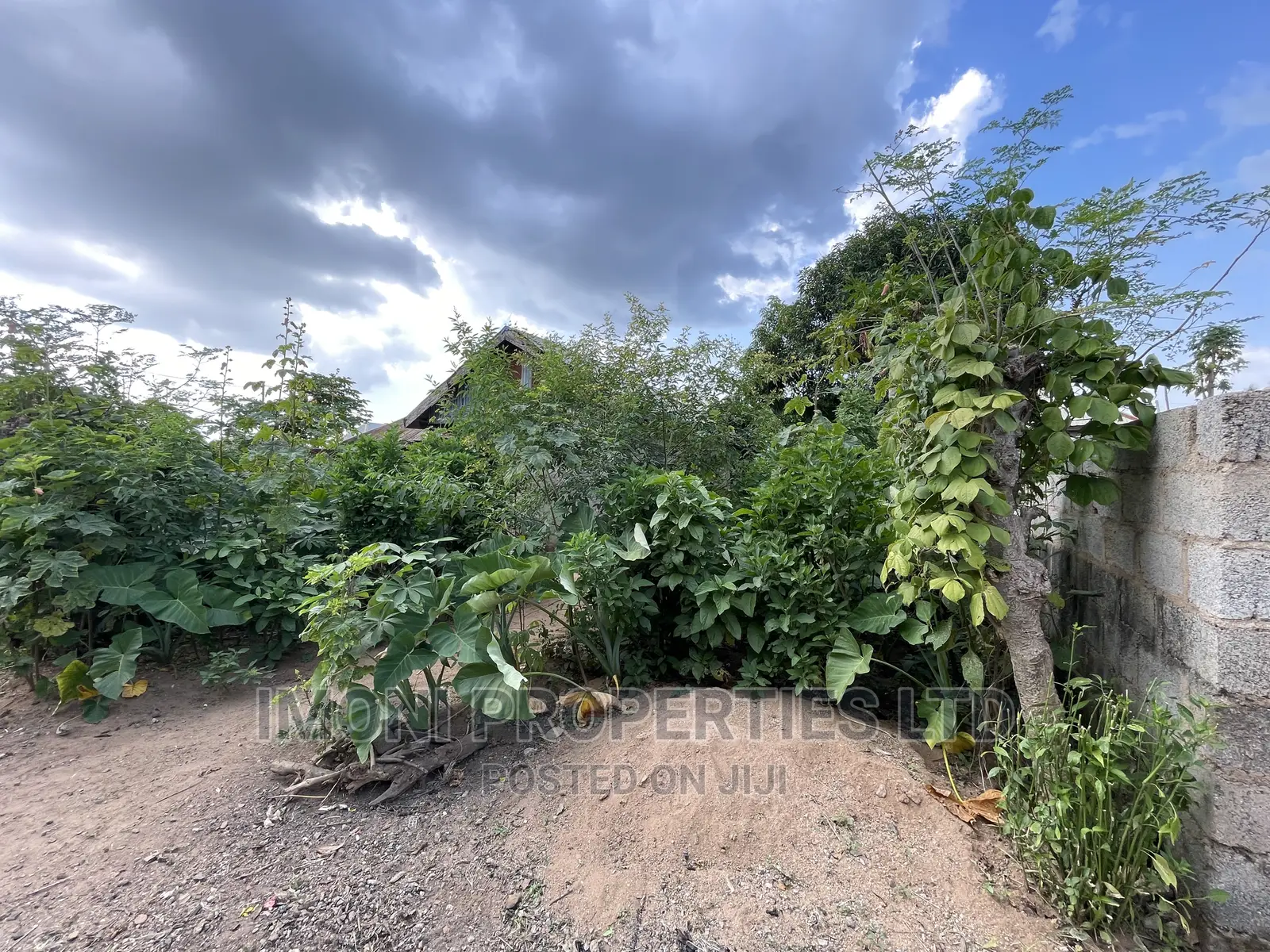 50/50 Plot of Land for Sale Duts Obasajo Rd