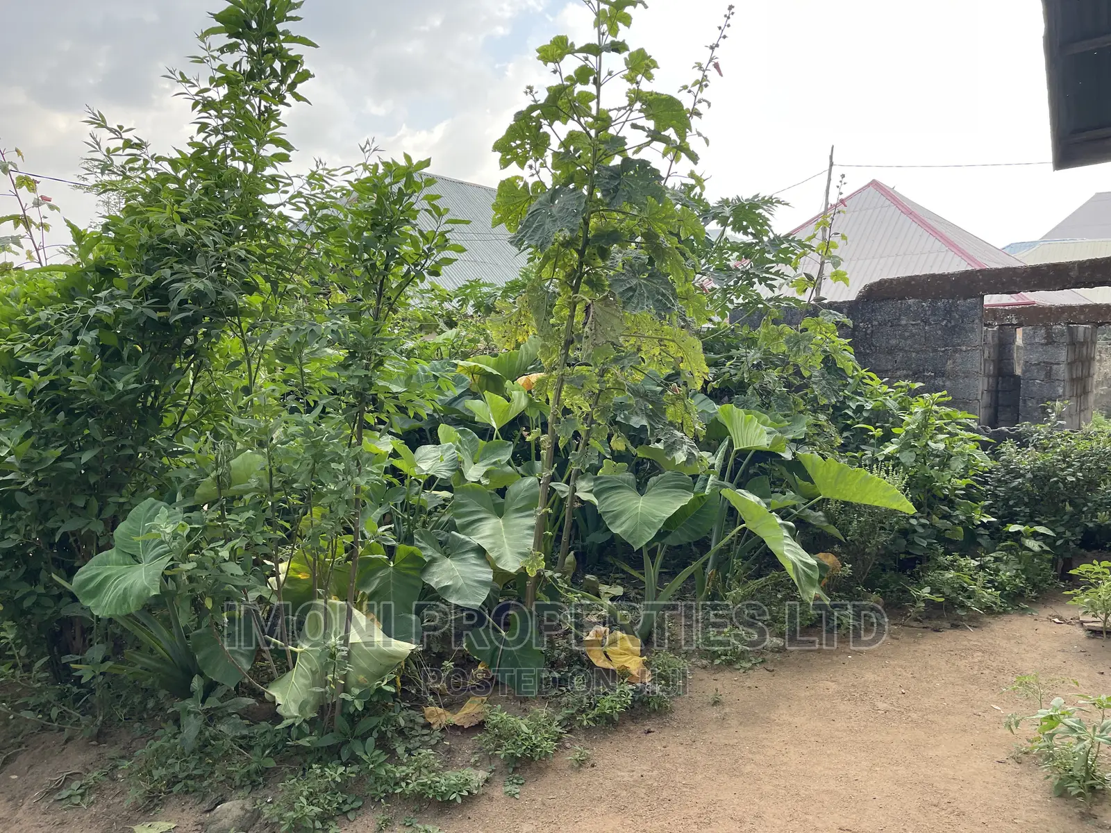 50/50 Plot of Land for Sale Duts Obasajo Rd