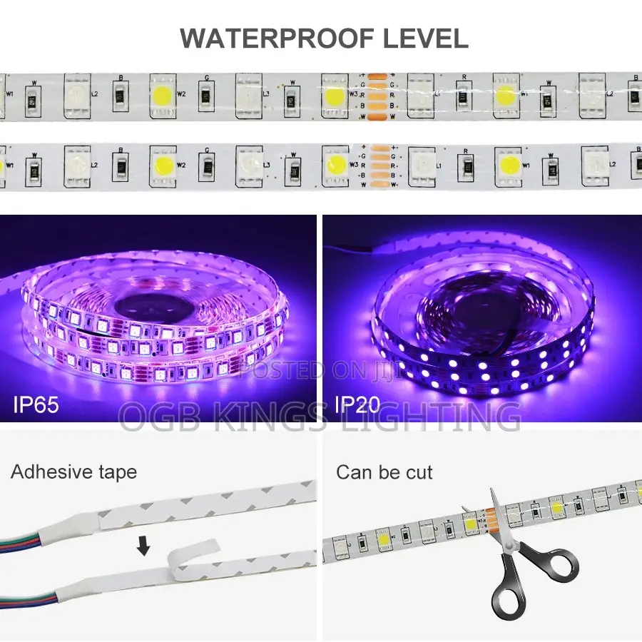 5050 RGB LED Strip Waterproof 5m 10m DC 12v 24V RGB Light
