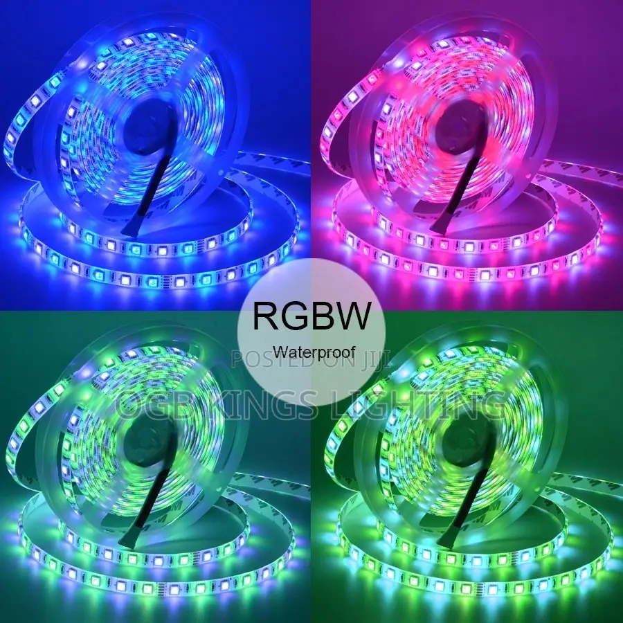 5050 RGB LED Strip Waterproof 5m 10m DC 12v 24V RGB Light