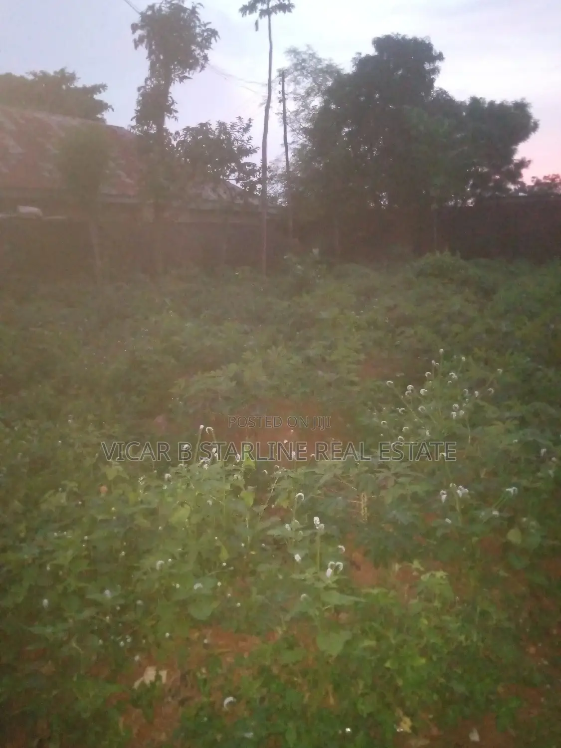 One Table Plot of Land Opposite G Hostel Umunze 4 Sale 5.5m