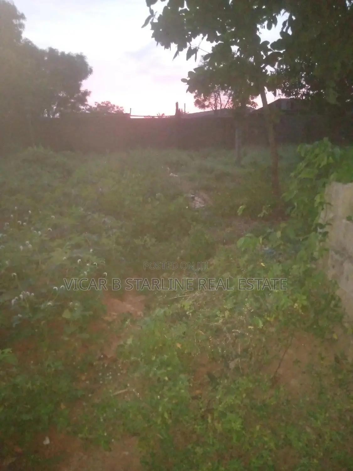 One Table Plot of Land Opposite G Hostel Umunze 4 Sale 5.5m