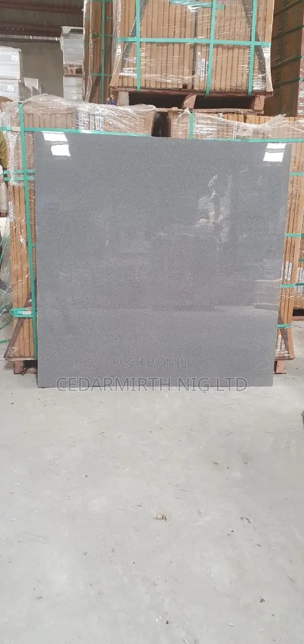 Floor Tile 120×120 Indira