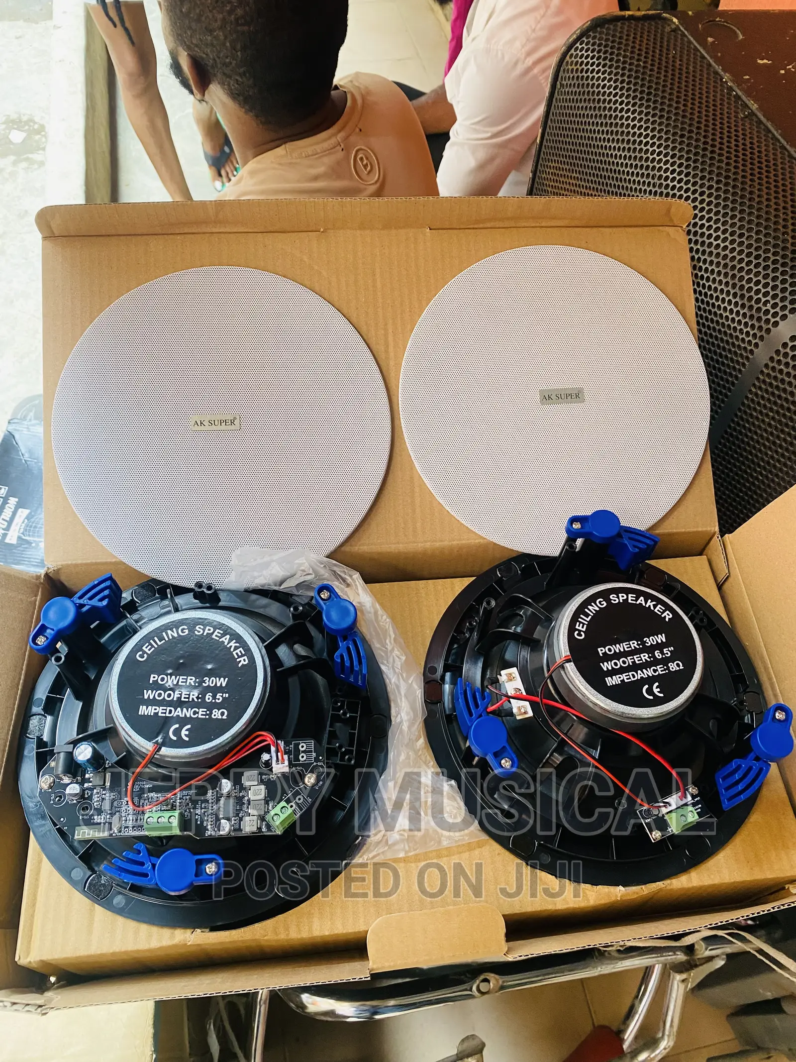 30watts Frameless Bluetooth Ceiling Speakers