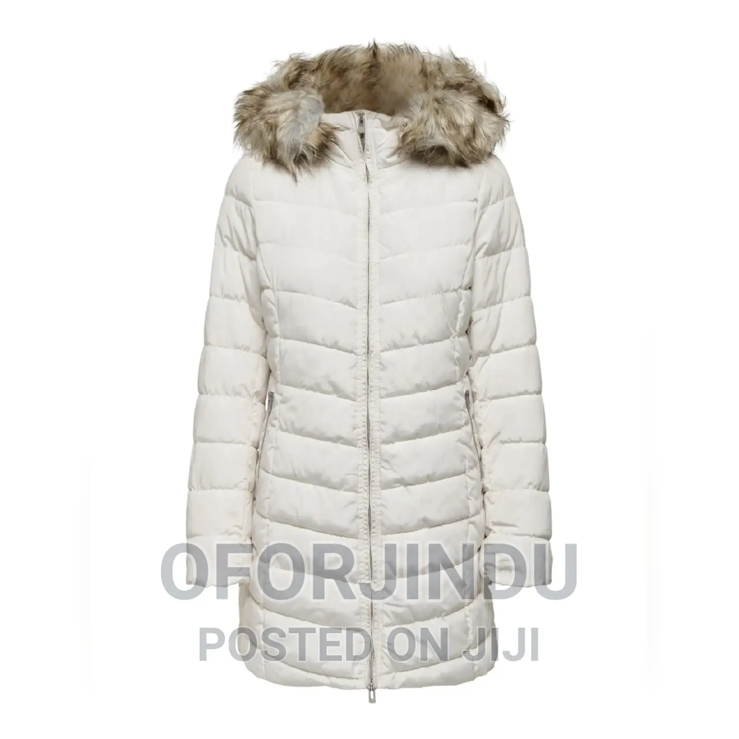 Winter Jacket First Grade Foreign Used Original