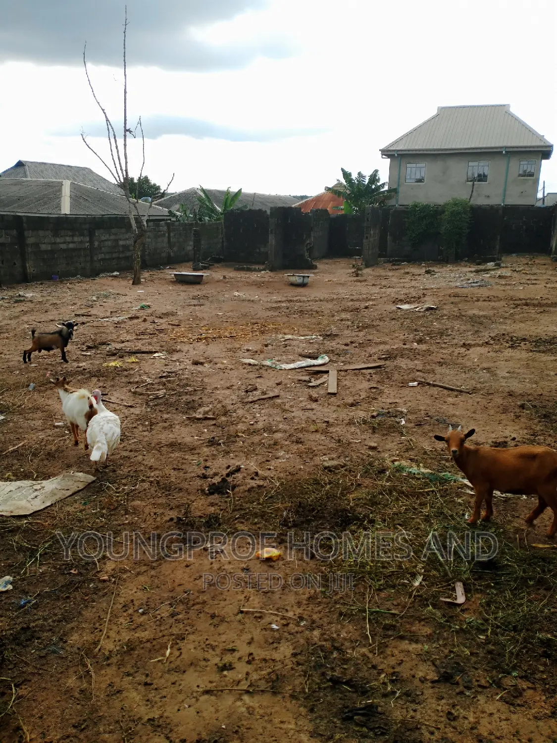 A Plot of Land Fenced With Gate at Igando