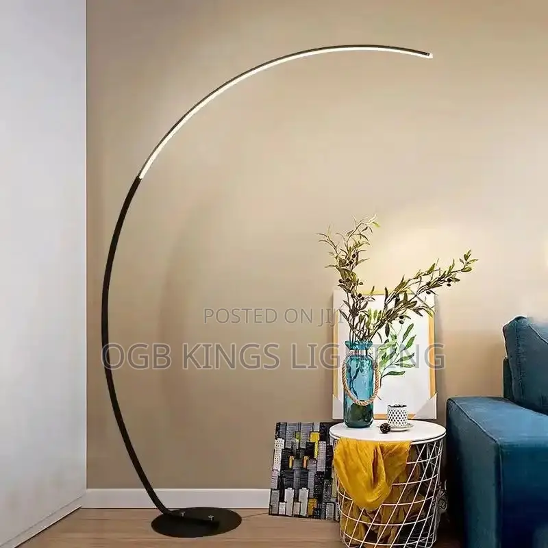 Modern LED Floor Lamp Black Parabola Floor Light
