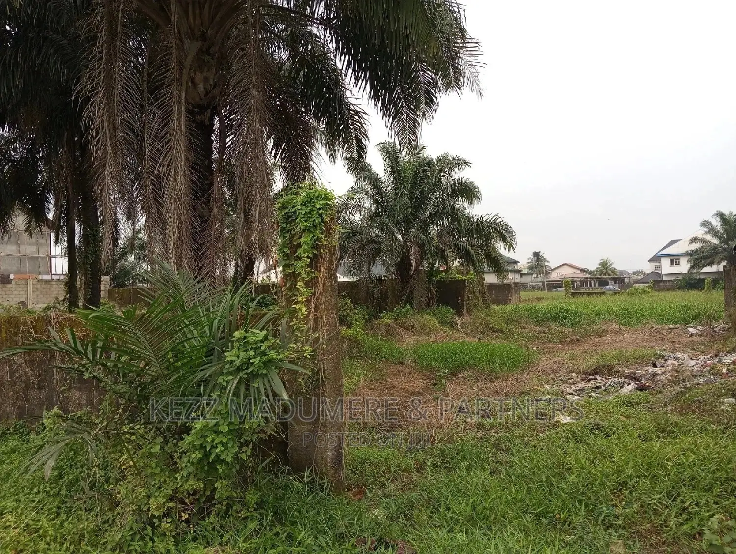 Land for Sale,Near Nkpolu Junction, Obi Wali, Rumuigbo