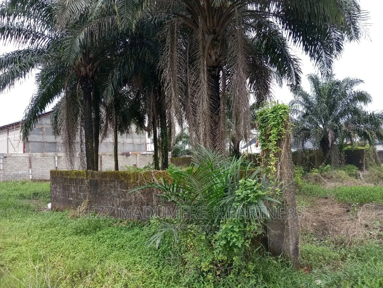 Land for Sale,Near Nkpolu Junction, Obi Wali, Rumuigbo