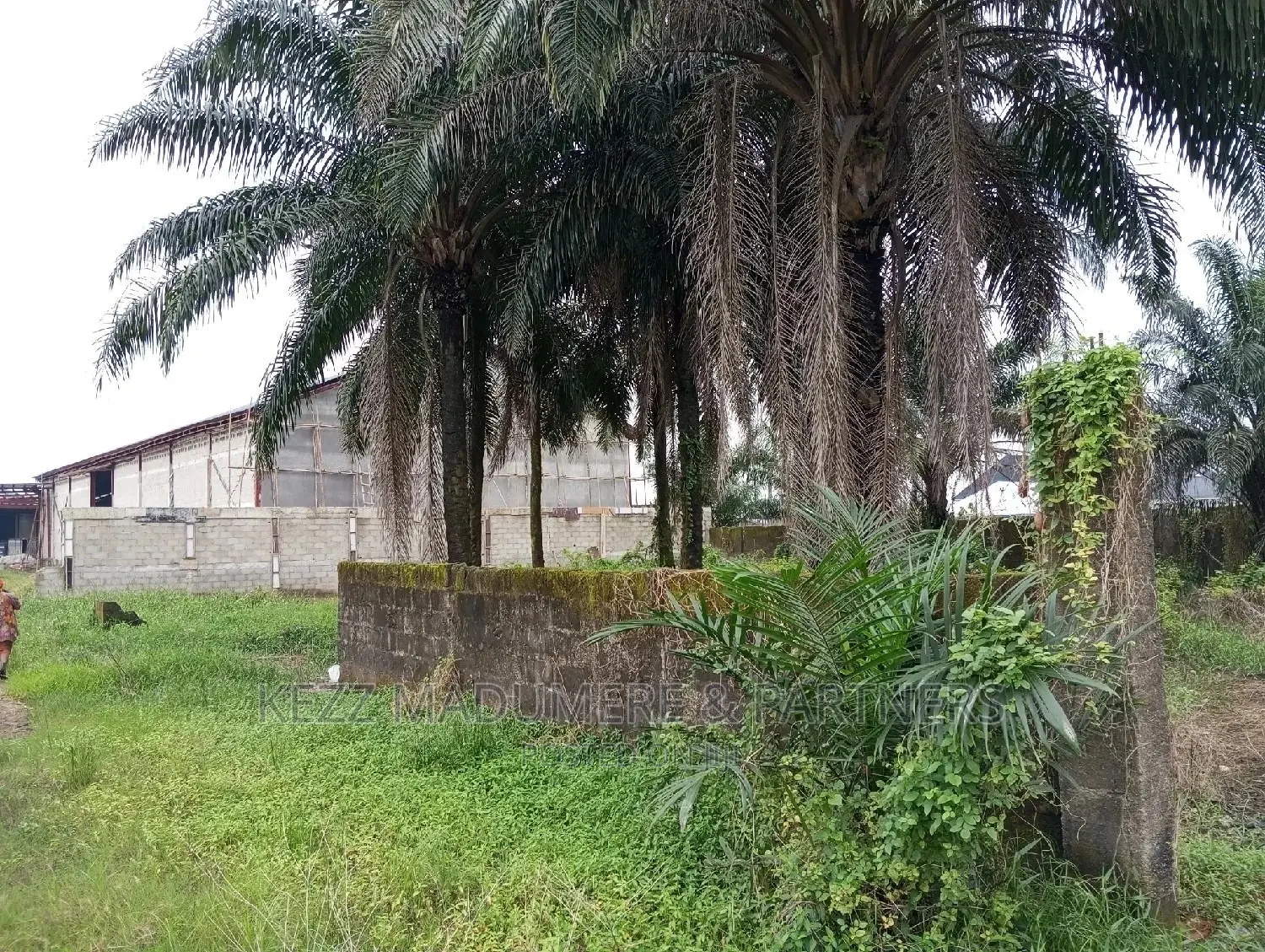 Land for Sale,Near Nkpolu Junction, Obi Wali, Rumuigbo