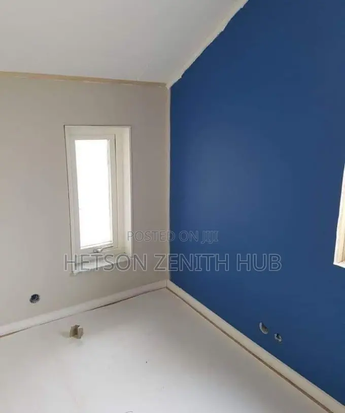 House Painting and More