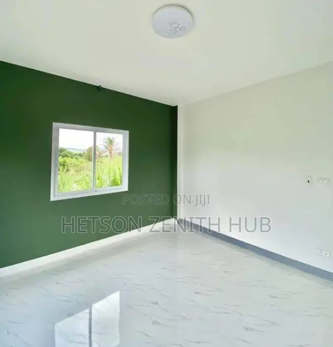 House Painting and More