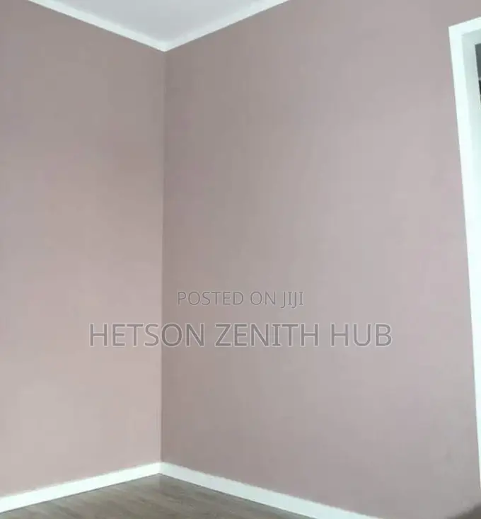 Beautiful House Painting Service