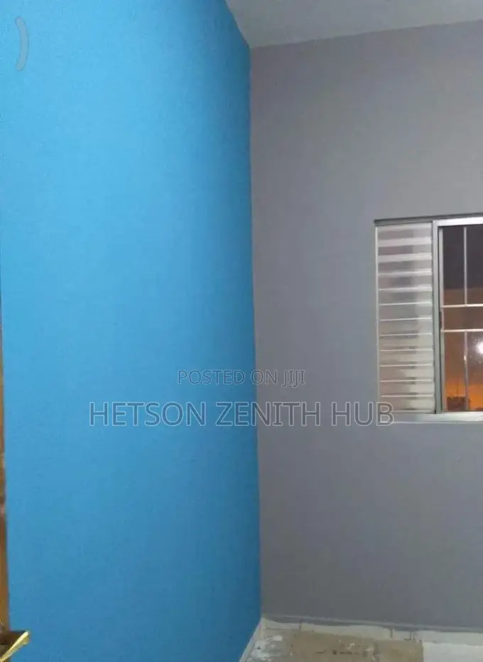 Beautiful House Painting Service