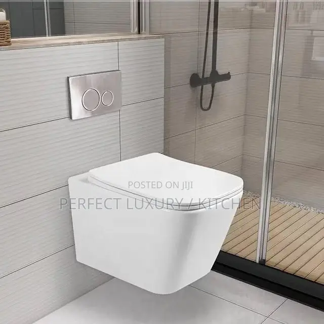 Wall Hung Conceal Toilets