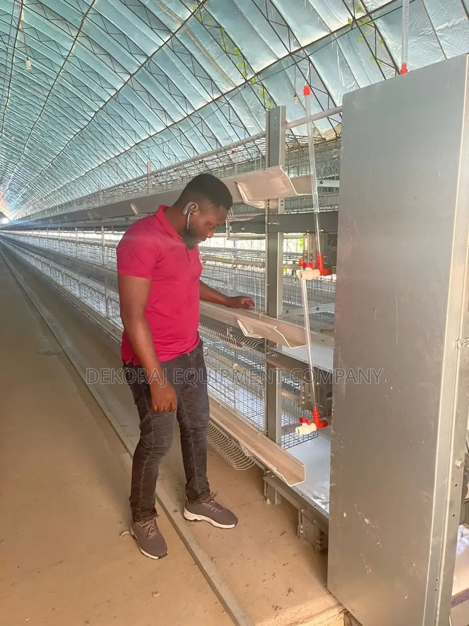 Fully Automated H Type Cage for 120 Broilers With Conveyor