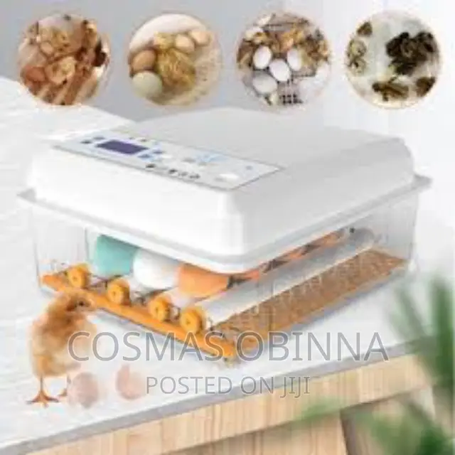 30 Eggs Incubator With Inbuilt Inverter Automatic Turner