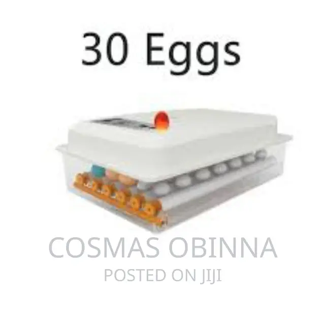 48 Eggs Incubator With Inbuilt Inverter