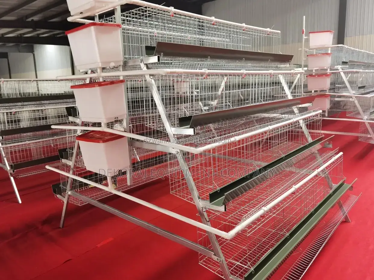 160 Birds Imported Cage With 25 Years Lifespan