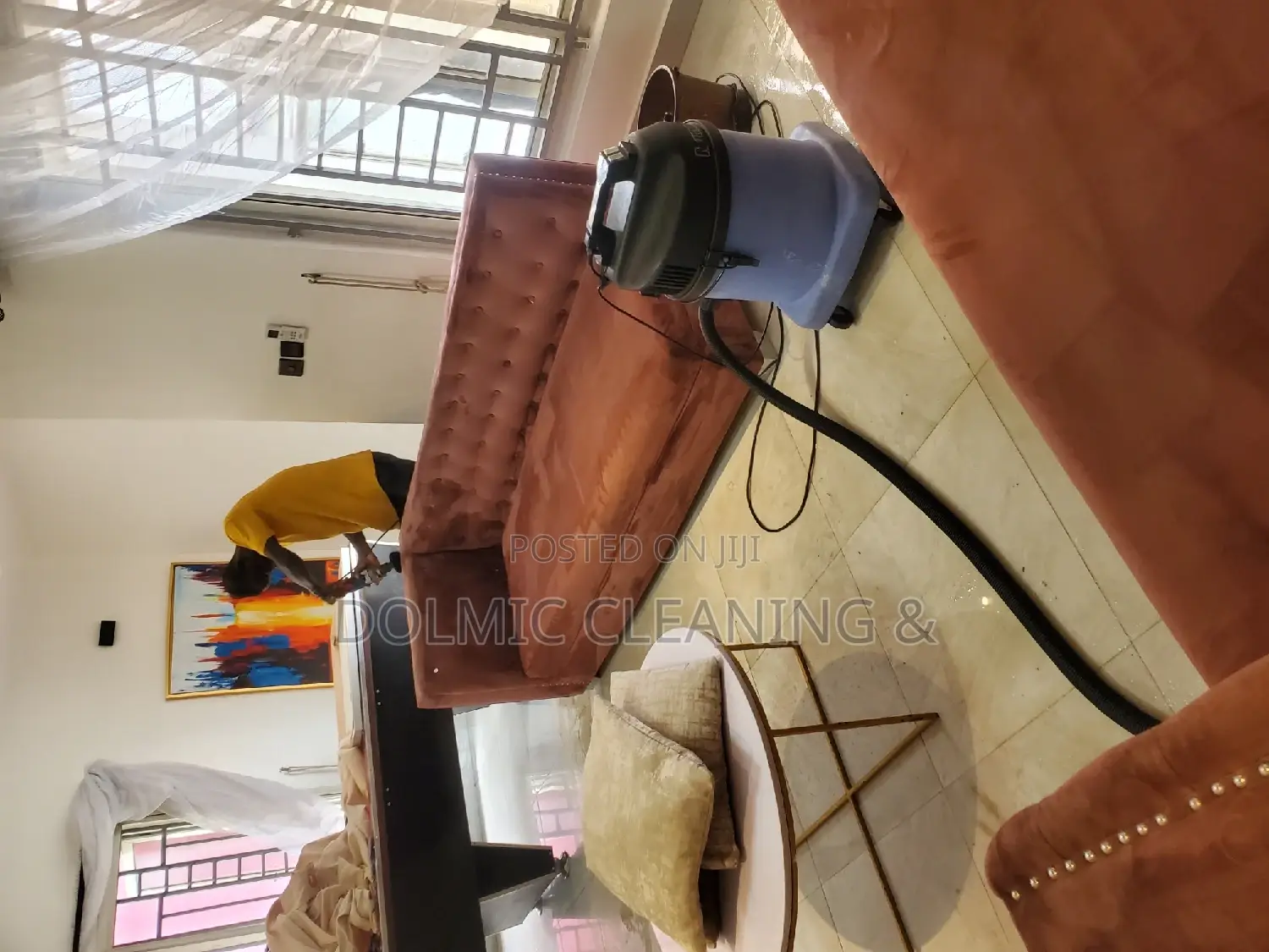 Upholstery/Sofa Cleaners