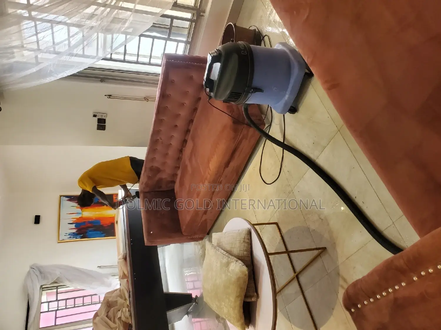 Upholstery/Sofa Cleaners